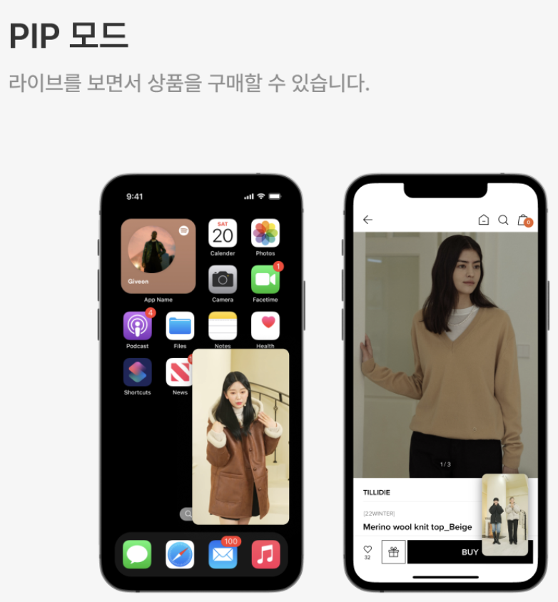 PIP 모드 